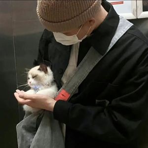 97免费在线观看
